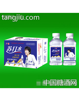 广臻苏打水350mlx24瓶