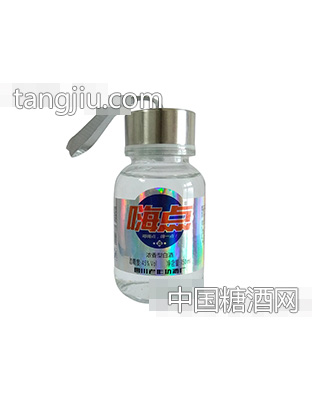 嗨点水杯（实物照）