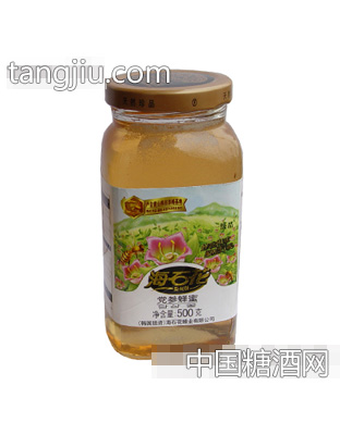 党参蜂蜜(500g)