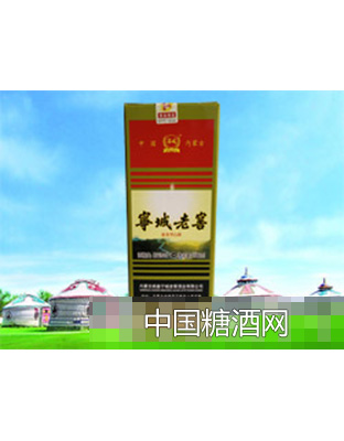 宁城老窖白瓷瓶53°