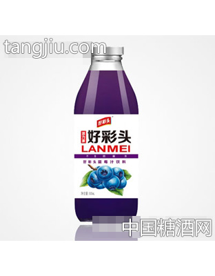 好彩头500ML蓝莓汁