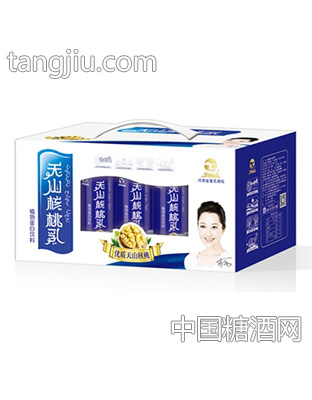 1x12罐天山核桃乳（开窗）手提装