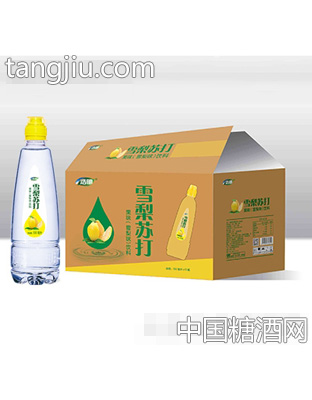 浩明雪梨苏打果味饮料500mlx15瓶