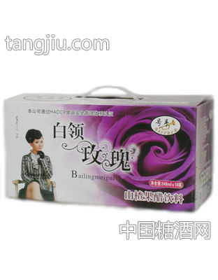 白领玫瑰248ml