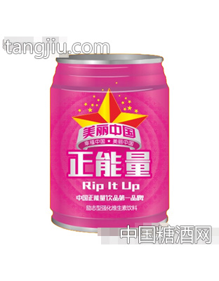 正能量维生素饮料250mlx24罐（紫）