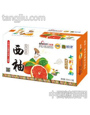 琅津西柚果汁饮料350mlx15瓶