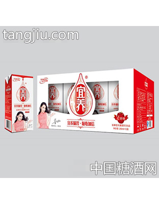 宜养红枣味乳酸菌苗包礼盒（250mlx12)