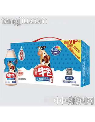 宜养牛牛原味乳酸菌瓶奶普装（165mlx24）