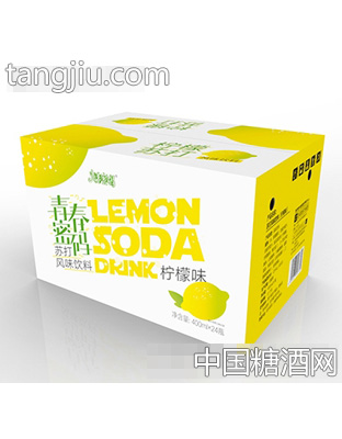 青春密码柠檬味苏打饮料400mlx24瓶