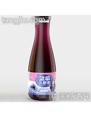 宜养乳酸菌蓝莓汁1.5L