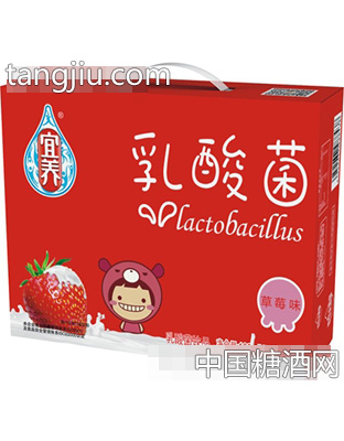 宜养牛牛草莓味瓶奶箱装100mlX24瓶