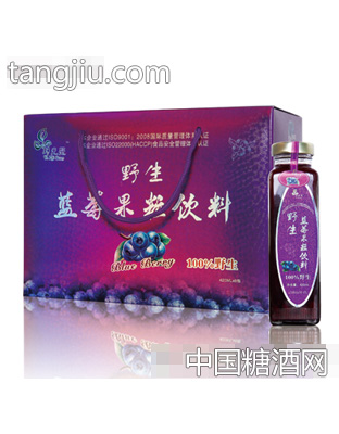 420ml蓝莓果粒饮料