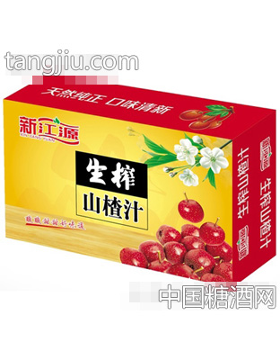 新江源生榨山楂汁箱