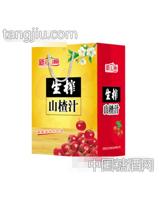 新江源生榨山楂汁手提