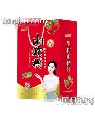山楂树山楂汁礼盒