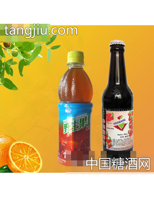 瓶装酸枣复合饮品