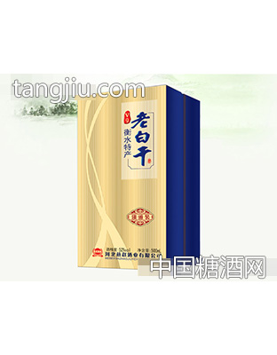 淡雅装老白干V9