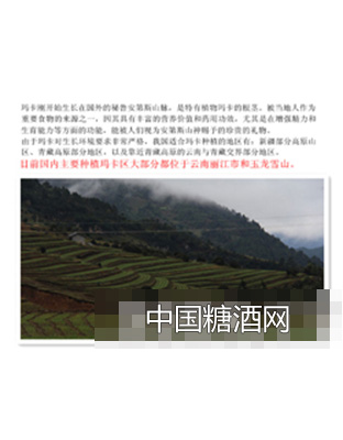 玛卡产区