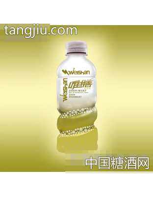 580ml唯膳运动饮料菠萝味