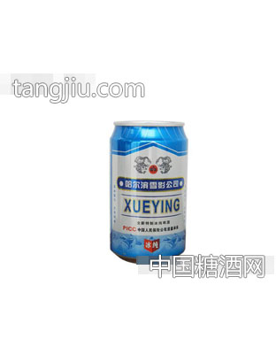 雪影啤酒330ml罐装24罐