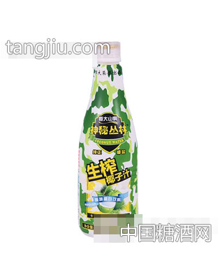 恒大山泉神秘丛林生榨椰子汁1.25L
