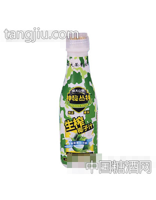 恒大山泉神秘丛林生榨椰子汁500ml