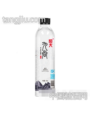 恒大九尚饮用泉水500ml