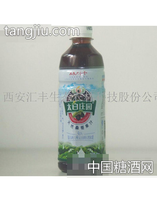 汇丰桑葚果汁