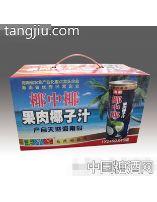 椰中椰果肉椰子汁1X245gX15罐