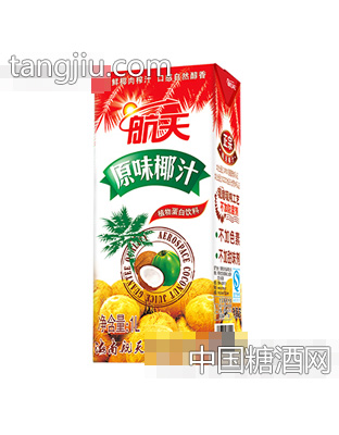 1L利乐砖装航天椰汁