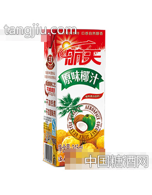 245ml利乐砖装航天椰汁
