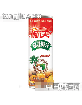315ml航天原味椰汁植物蛋白饮料（铁罐）
