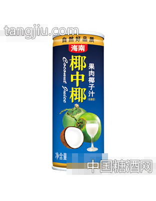 航天椰中椰果汁