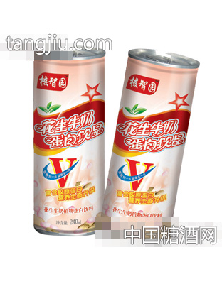 核智园花生牛奶蛋白饮品240ml罐