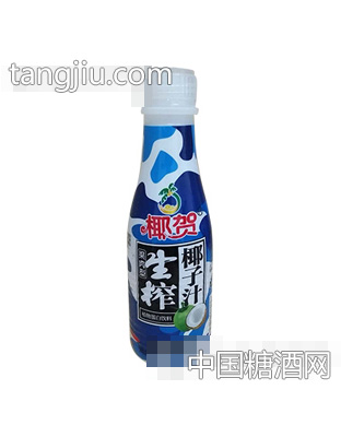 椰贺生榨椰子汁500g