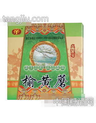 双枒子榆黄蘑天然
