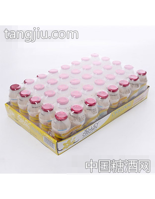 72小时发酵芒果乳酸菌