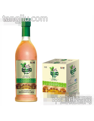 绝乖苹果醋绿标大溶瓶750ml