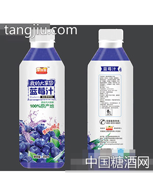 康润源蓝莓汁350ml