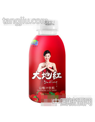 三诺大地红山楂汁饮料380ml