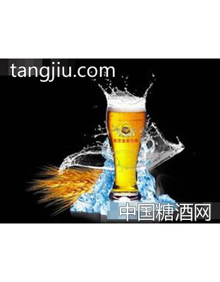 斯图小麦扎啤