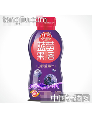 恬润塑料瓶山野蓝莓汁330ml