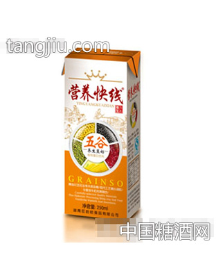 250ml苗条核桃豆奶
