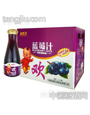 欢怡佳蓝莓汁饮料1Lx6瓶