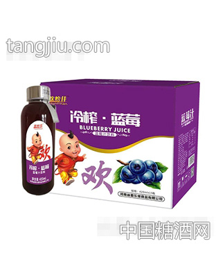 欢怡佳冷榨蓝莓汁饮料420mlx15瓶