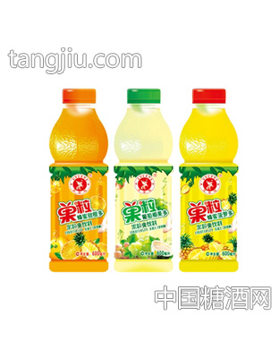 600ml果粒果汁