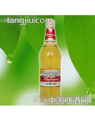 百威纯生580ml（1）