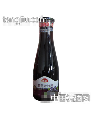 团友蓝莓汁饮料