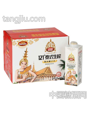 千层源121°泰式生榨果肉椰子汁600ml（方盒