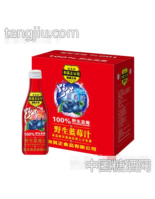 1.25L野生蓝莓汁×6红和其正